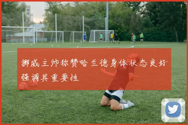 挪威主帅称赞哈兰德身体状态良好强调其重要性