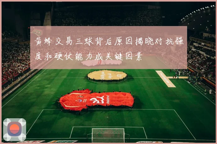 黄蜂交易三球背后原因揭晓对抗强度和硬仗能力成关键因素