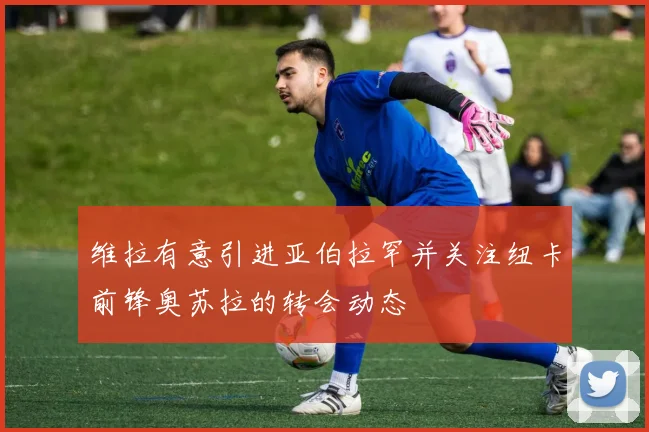 维拉有意引进亚伯拉罕并关注纽卡前锋奥苏拉的转会动态