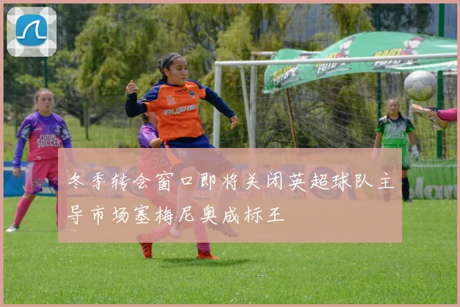 冬季转会窗口即将关闭英超球队主导市场塞梅尼奥成标王